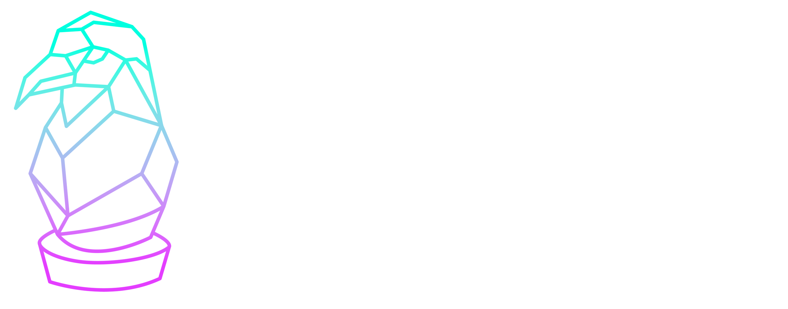 Malphara logo – stylized crow standing looking to the right